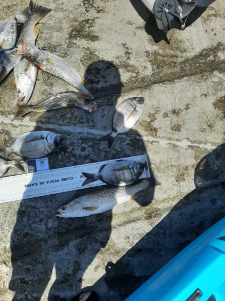 Fish Measure Picture
